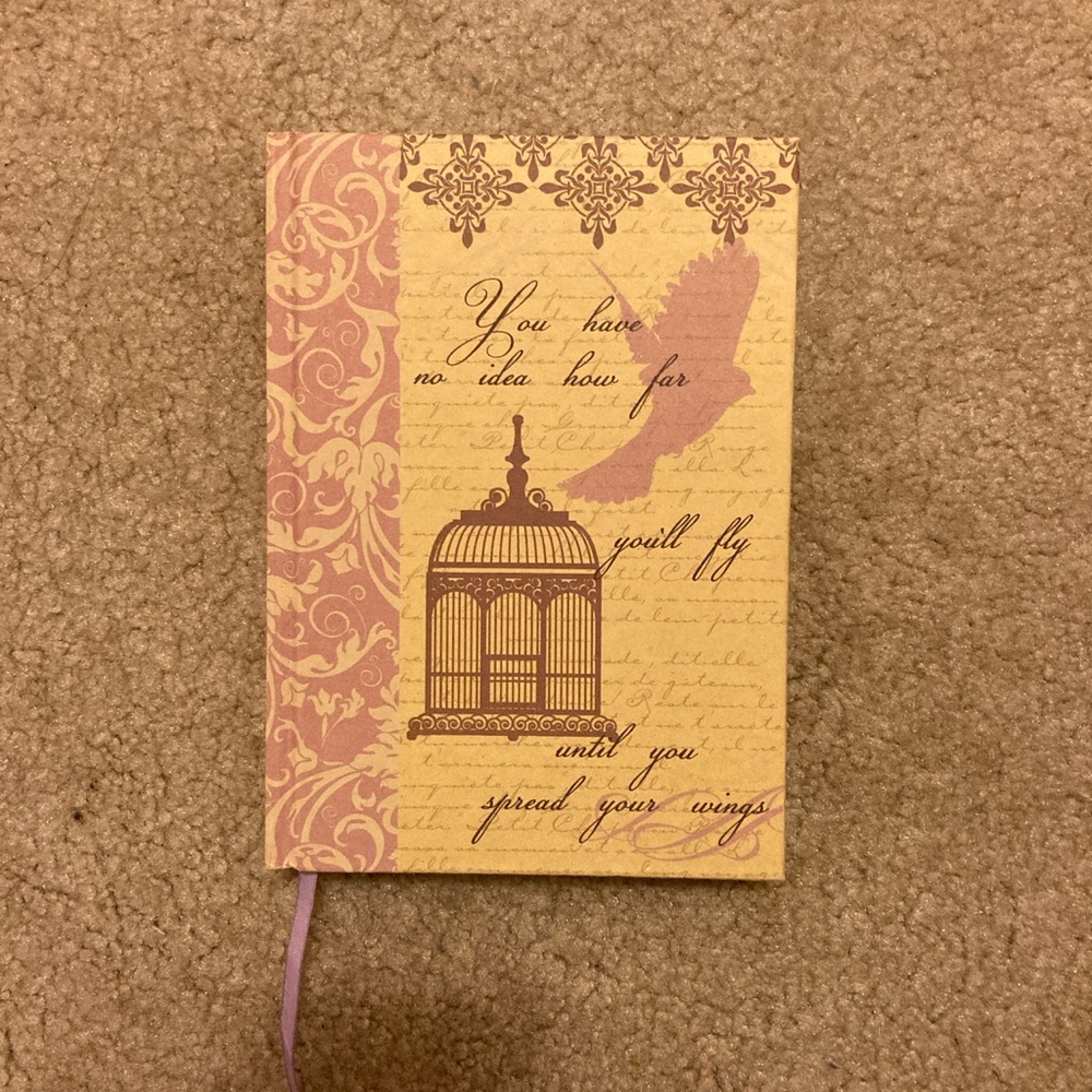 hardcover fairy tale diary/journal